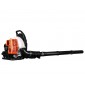 Leaf Blower TB70